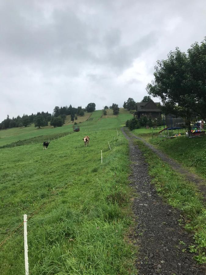 Villa Zdiar 681 Esterno foto