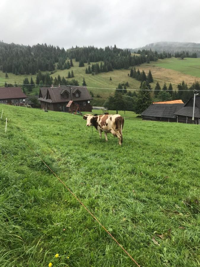 Villa Zdiar 681 Esterno foto